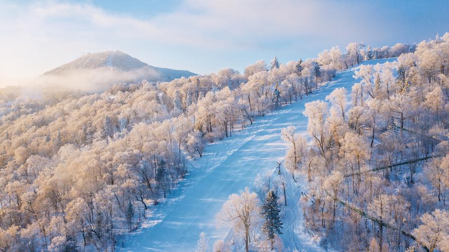 飞雪图库网